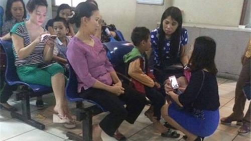 Hà Nội: Hơn 50 học sinh bị ong đốt phải nhập viện cấp cứu