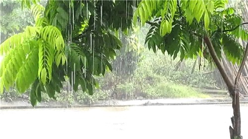 Dự báo thời tiết ngày 10-5-2016: Toàn miền nền nhiệt giảm, có thể xuất hiện mưa rào và dông