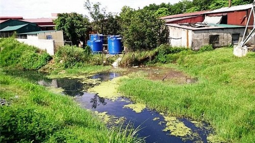 Ninh Bình: Công ty Việt Xanh "đầu độc" môi trường, xử phạt 361 triệu đồng