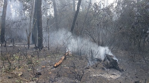 Những bài học đắt giá nhìn từ vụ cháy rừng Hồng Lĩnh
