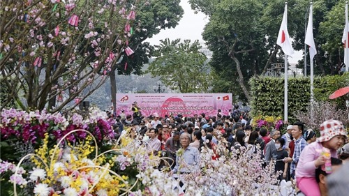 Ngày 29-3, khai mạc Lễ hội hoa anh đào Nhật Bản - Hà Nội 2019