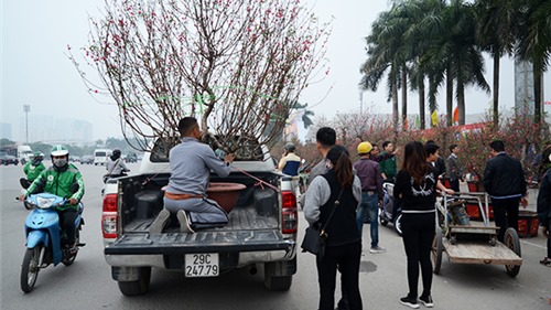 Hà Nội: Rộn ràng không khí tết tại chợ hoa Xuân