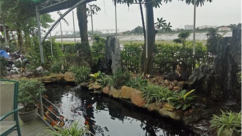 Hà Nội: Khu nghỉ dưỡng hàng nghìn mét vuông "mọc" trên hành lang thoát lũ sông Đuống
