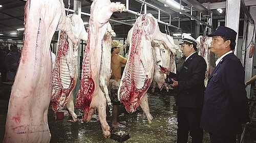 Mức xử phạt hành vi vận chuyển, kinh doanh thịt gia súc, gia cầm không có dấu kiểm soát giết mổ