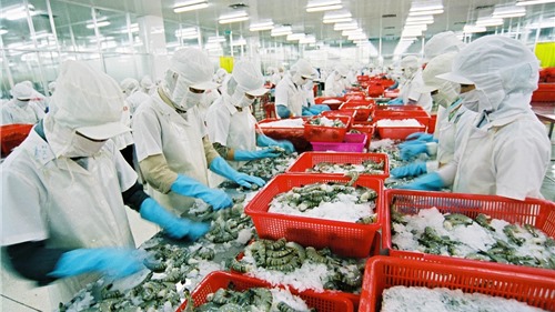 Hoa Kỳ tiếp tục đặt niềm tin vào sản phẩm tôm từ Việt Nam