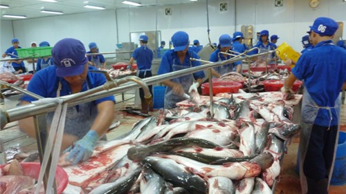 Tháng 4, cá tra xuất khẩu vào các thị trường chính Mỹ, Trung Quốc sụt giảm