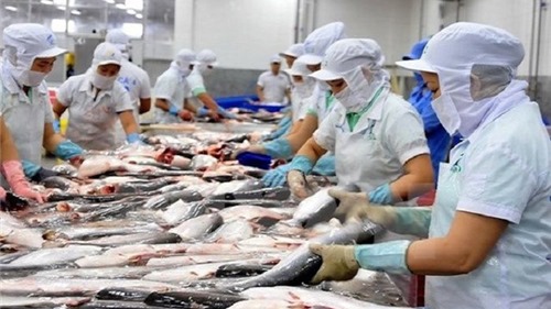 Người Nhật đã “mở lòng” đón nhận cá tra Việt Nam