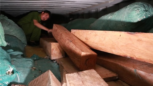 Bắt giữ gỗ quý xuất xứ Ấn Độ trị giá 10 tỷ đồng