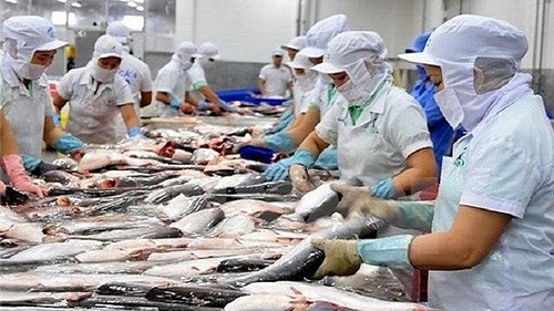 Cơ hội xuất khẩu cho cá tra Việt Nam sang 10 nước CPTPP