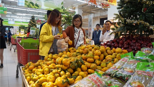 Tìm cách hạn chế nông sản Việt xuất khẩu qua thương hiệu nước ngoài