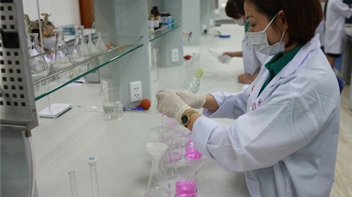 Việt Nam đã tạo được vaccine vô hoạt thế hệ mới phòng dịch tả lợn châu Phi bước đầu có kết quả tốt