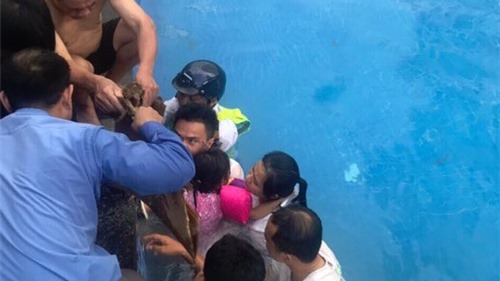 Hà Nội: Giải cứu thành công bé gái 4 tuổi bị kẹt tay vào ống hút cặn bể bơi