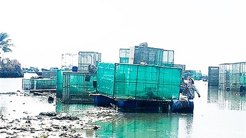 Khánh Hoà: Gấp rút di dời các lồng bè lấn chiếm công trình hàng hải