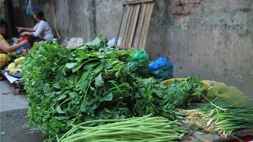 Hà Nội: Rau xanh tăng giá mạnh sau bão, tiểu thương lo lắng thiếu nguồn cung