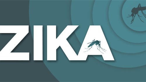 TP Hồ Chí Minh: 1 quận có tới 7 trường hợp mắc virus Zika