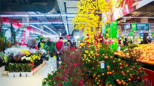 Ngắm “rừng” hoa Tết rực rỡ trong siêu thị