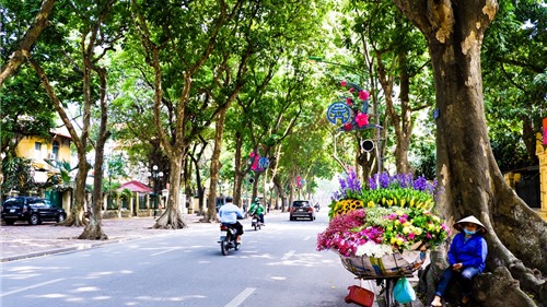 Đi tìm bản sắc đô thị Việt: Bản sắc cây xanh và mẹt hàng xén