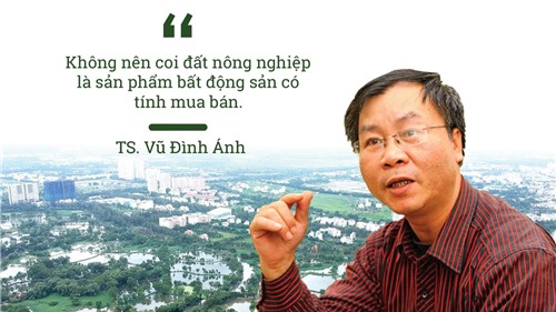 Đại gia Việt "xắn tay" trồng rau, nuôi bò: Vì sao bất động sản nông nghiệp trở thành "miếng bánh thơm"?