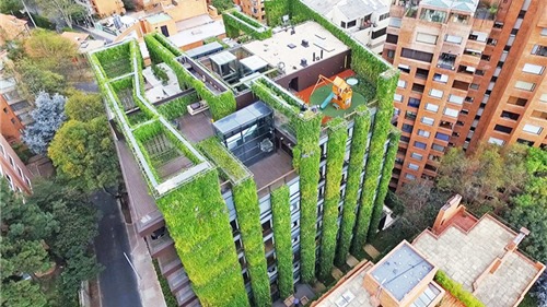 Vườn đứng - giải pháp phủ xanh chung cư