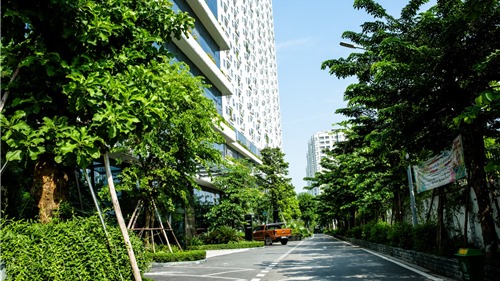 Bài dự thi Nơi tôi sống: Chạm tới yên bình nơi tòa nhà xanh giữa Thủ đô