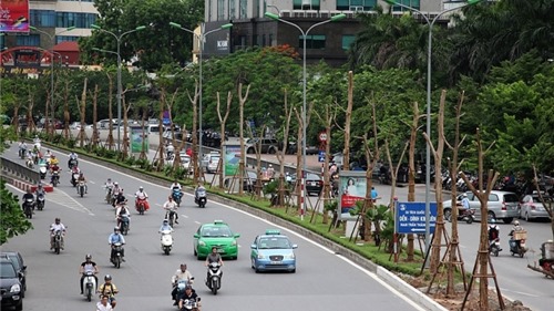 Hà Nội dự kiến trồng mới 200.000 - 250.000 cây xanh dịp đầu Xuân Tân Sửu 2021
