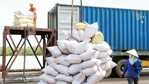 Gạo thơm Việt Nam sẽ là từ khoá “đắt giá” cho ngành xuất khẩu 2021