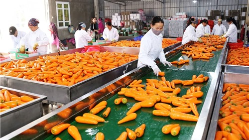 Nông sản, thực phẩm Việt: Nhiều cơ hội chinh phục thị trường Ba Lan