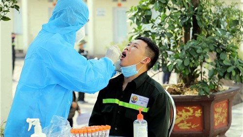 Quảng Ninh: Hơn 13.800 thí sinh dự thi vào lớp 10 được lấy mẫu xét nghiệm Covid-19