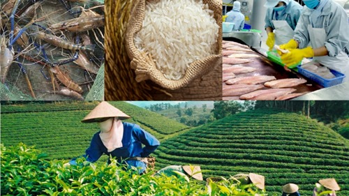 Nông sản Việt Nam trong mùa dịch: Trong nước khó khăn, thăng hạng trên trường quốc tế