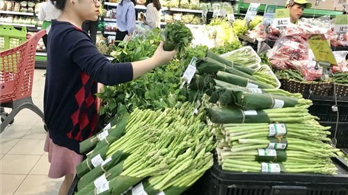 Hà Nội: Phấn đấu 100% siêu thị, trung tâm thương mại không sử dụng túi nilon khó phân hủy