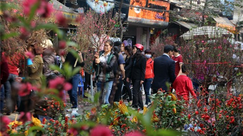 Hà Nội tổ chức 89 điểm chợ hoa xuân phục vụ Tết Tân Sửu 2021
