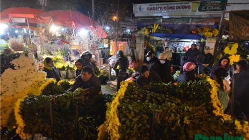 Chợ hoa Quảng An nhộn nhịp đêm mùng 1 tháng Chạp