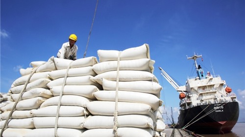Xuất khẩu gạo Việt Nam vượt mốc 1 tỷ USD nhờ sản lượng tăng và giá cao