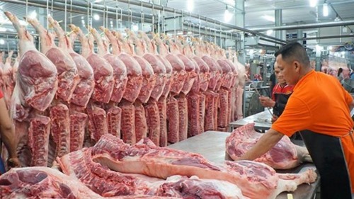 Hà Nội cần 57.780 tấn thịt lợn trong dịp cận Tết