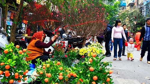 Hà Nội tổ chức 91 điểm chợ hoa xuân phục vụ Tết Nguyên đán