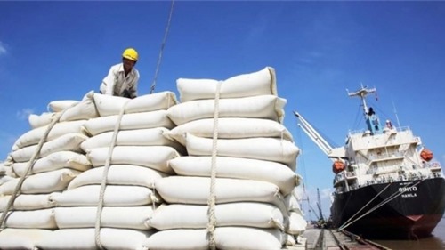Giá gạo xuất khẩu tăng cao nhất 10 năm qua