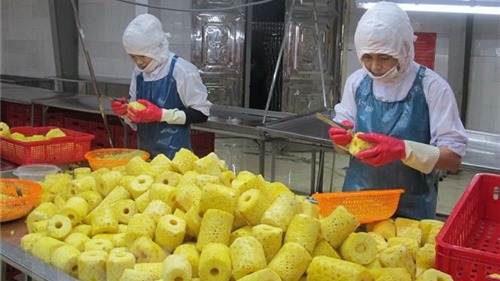 Việt Nam ngày càng chú trọng nâng cao chất lượng thực phẩm