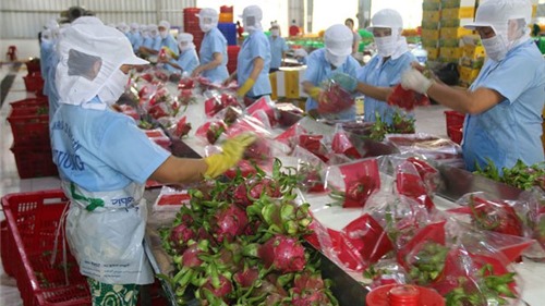 Việt Nam đặt mục tiêu xuất khẩu 55 tỷ USD nông sản
