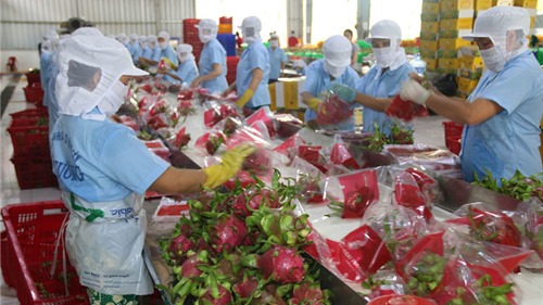 Hoa Kỳ tiếp tục là thị trường xuất khẩu lớn nhất của Việt Nam với kim ngạch đạt 37,6 tỷ USD