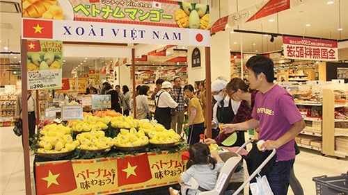 Thúc đẩy doanh nghiệp Việt Nam tham gia trực tiếp các mạng phân phối nước ngoài