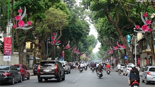 Trang trí hoa, cây cảnh đón Tết Nguyên đán Tân Sửu tại Hà Nội