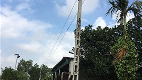 Thanh Hóa: Điện lực trồng cột, nâng cấp đường dây, dân hết cảnh lo sợ