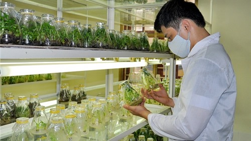 Nâng cao tiềm lực công nghiệp sinh học ngành nông nghiệp
