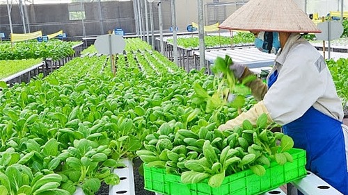 Hà Nội công bố thủ tục hành chính sản phẩm, hàng hóa thuộc lĩnh vực nông nghiệp