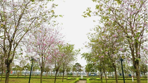 Hà Nội: Lập quy hoạch công viên huyện Mê Linh