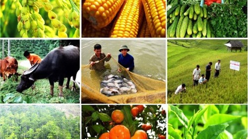 Thái Nguyên: Công nhận 37 sản phẩm nông nghiệp tiêu biểu của tỉnh năm 2023