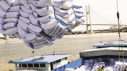Thanh tra Chính phủ vào cuộc thanh tra về xuất khẩu gạo