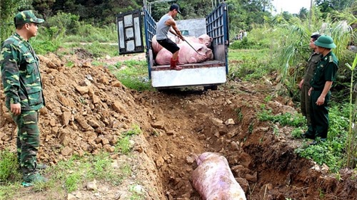 Giám sát chất lượng môi trường tại một số ô chôn lấp lợn bị bệnh dịch