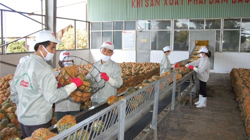 Nông sản Việt thích ứng tiêu chuẩn nhập khẩu chính ngạch của Trung Quốc