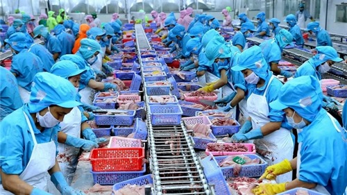 11 tháng đầu năm nay, xuất khẩu hải sản tăng 8,4%